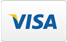 visa card